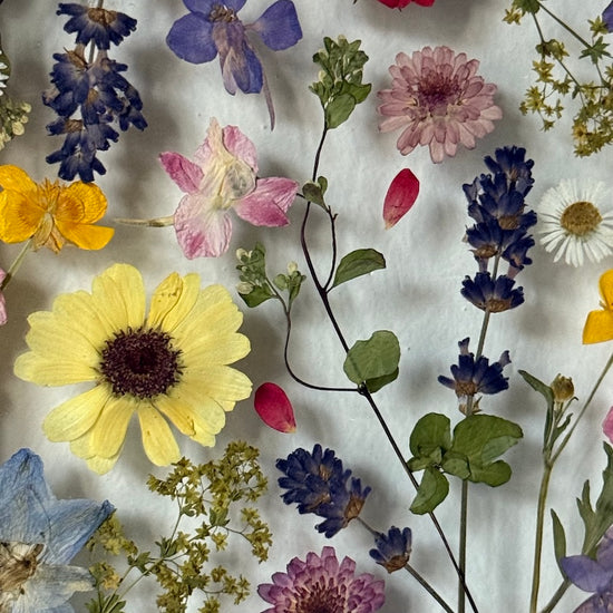 Tanzen auf der Wasseroberfläche