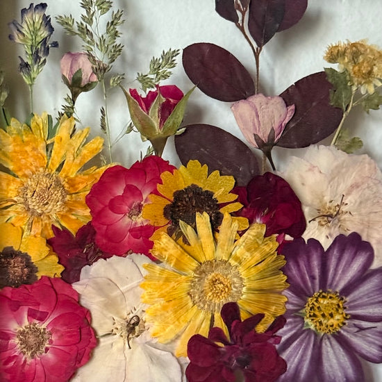 Tanzen auf der Wasseroberfläche