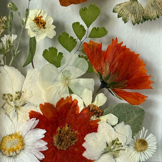 Blumige Vergänglichkeit