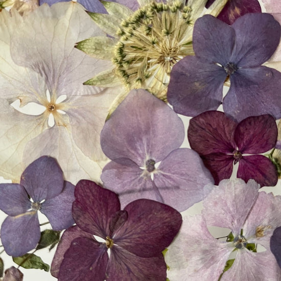 Farben der Seele