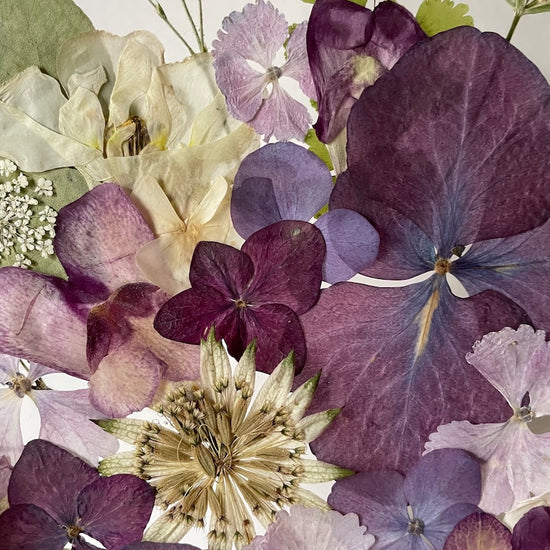 Farben der Seele