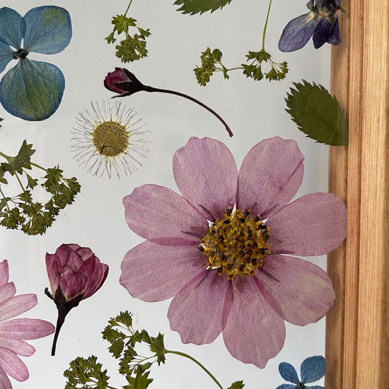 Blumige Vergänglichkeit