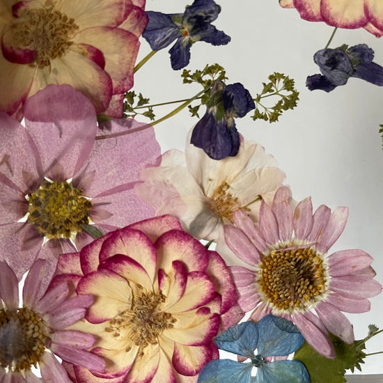 Blumige Vergänglichkeit
