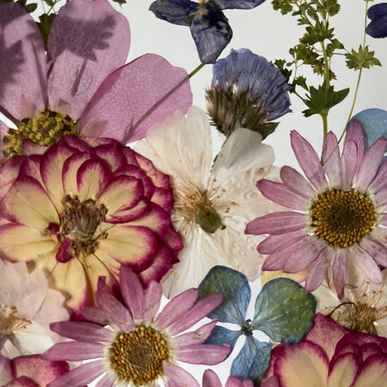 Blumige Vergänglichkeit