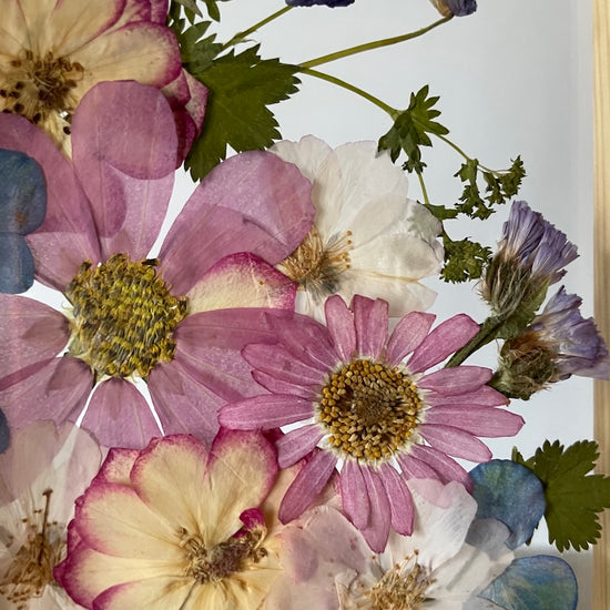 Blumige Vergänglichkeit