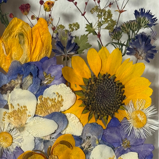 Blumige Vergänglichkeit