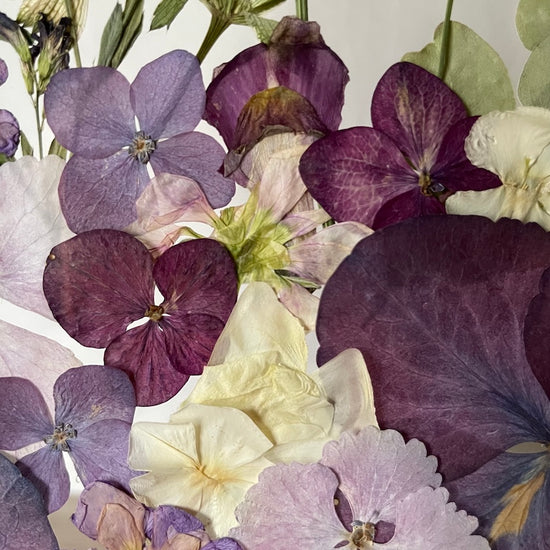 Farben der Seele
