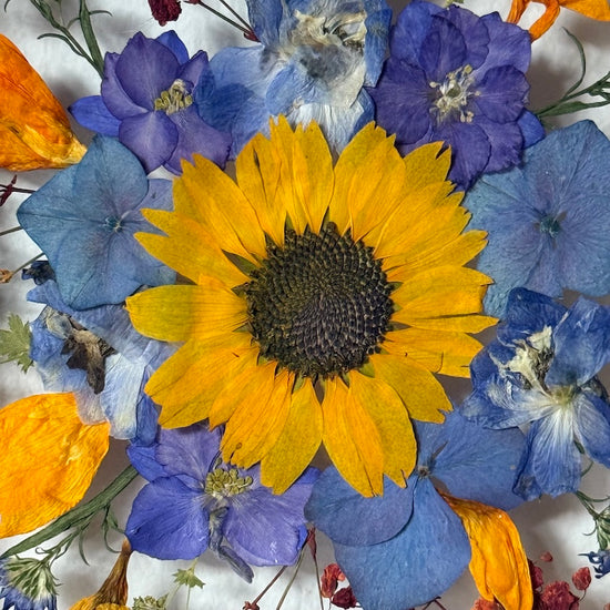 Tanzen auf der Wasseroberfläche