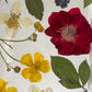 Blumige Vergänglichkeit