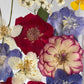 Blumige Vergänglichkeit