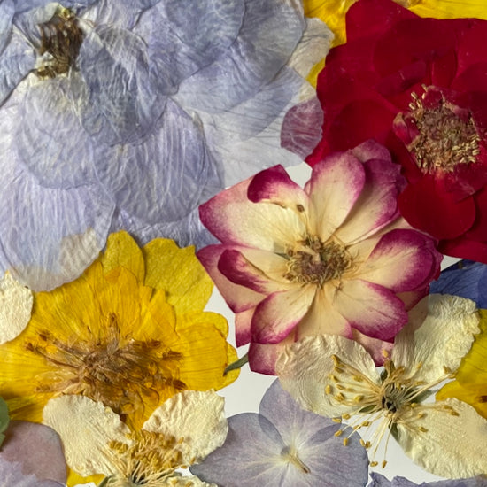 Farben der Seele