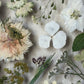 Drama geheimnisvoller Blumen