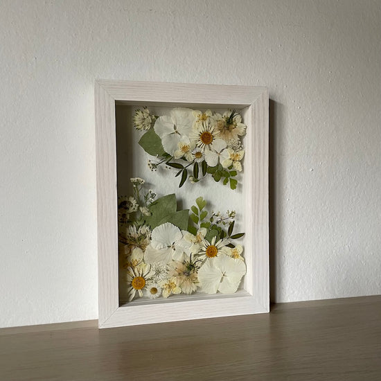 Aus den Tiefen der Meeresschönheiten