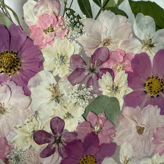 Farben der Seele