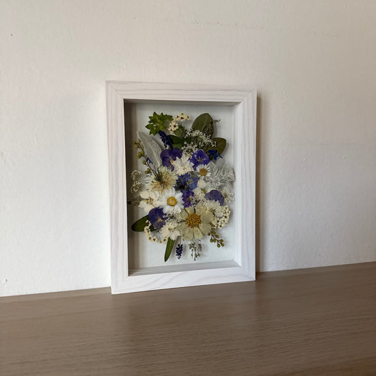 Aus den Tiefen der Meeresschönheiten