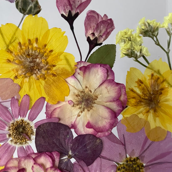 Tanzen auf der Wasseroberfläche