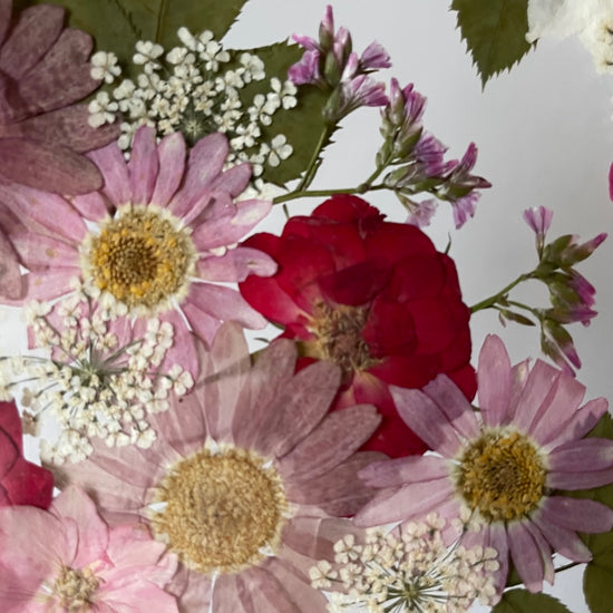 Tanzen auf der Wasseroberfläche