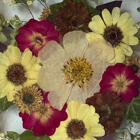 Tanzen auf der Wasseroberfläche