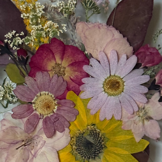 Tanzen auf der Wasseroberfläche