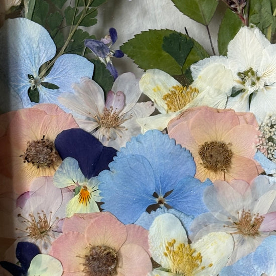 Drama geheimnisvoller Blumen