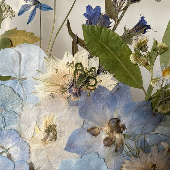 Nachtgarten der Träume