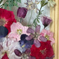Drama geheimnisvoller Blumen