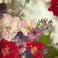 Geheimnisvolle Blüte