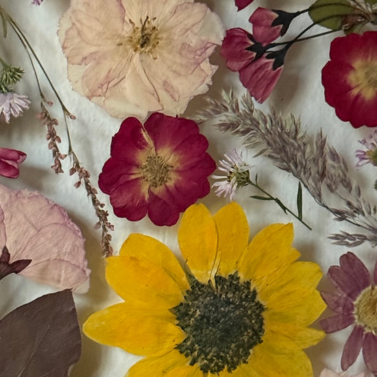 Tanzen auf der Wasseroberfläche