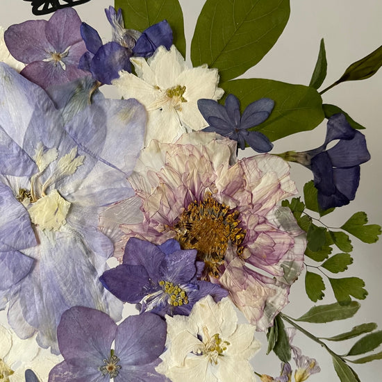 Wiesengöttin der Schönheit