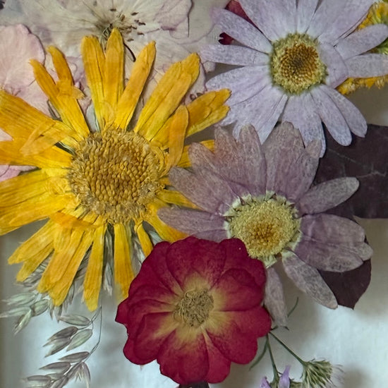 Blumige Vergänglichkeit