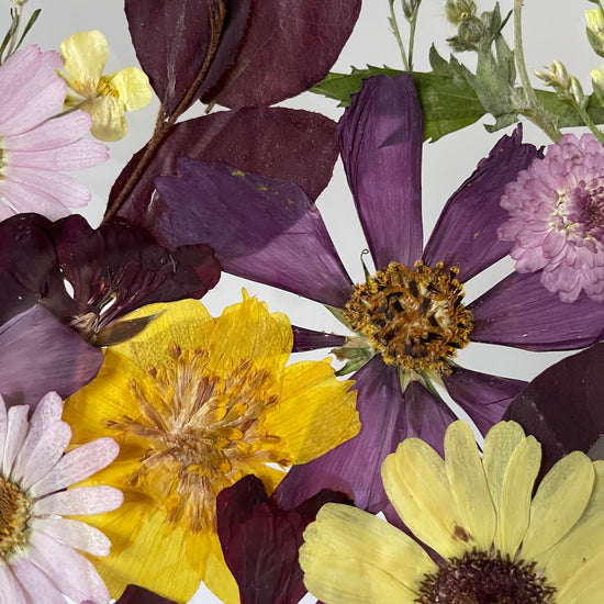 Tanzen auf der Wasseroberfläche