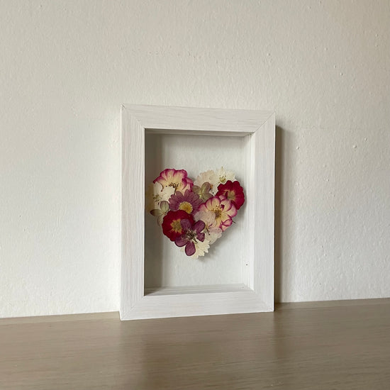 Blühen unter dem Schnee