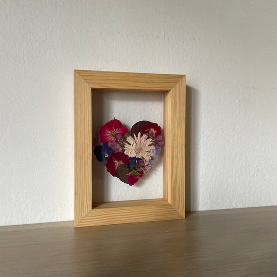 Blühen unter dem Schnee