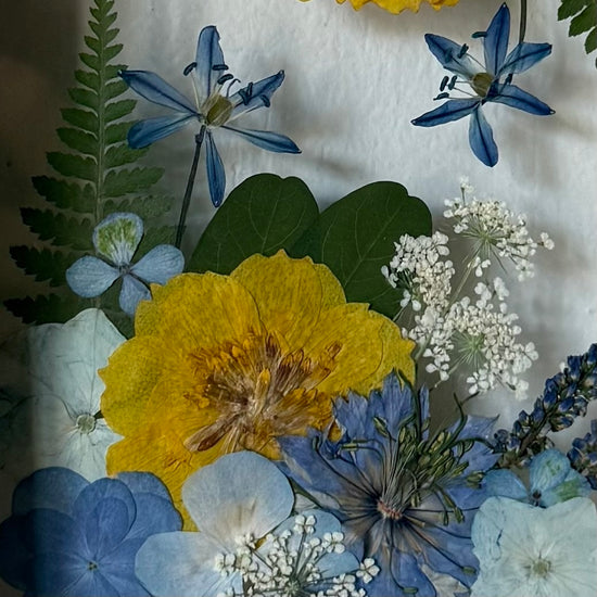 Drama geheimnisvoller Blumen