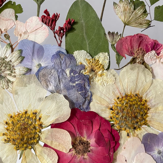 Tanzen auf der Wasseroberfläche