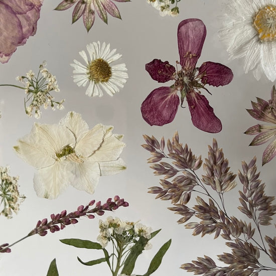 Frieden für meine Seele