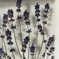 Wiesenblume