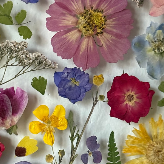 Tanzen auf der Wasseroberfläche