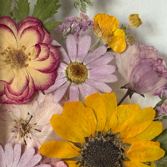 Blumige Vergänglichkeit