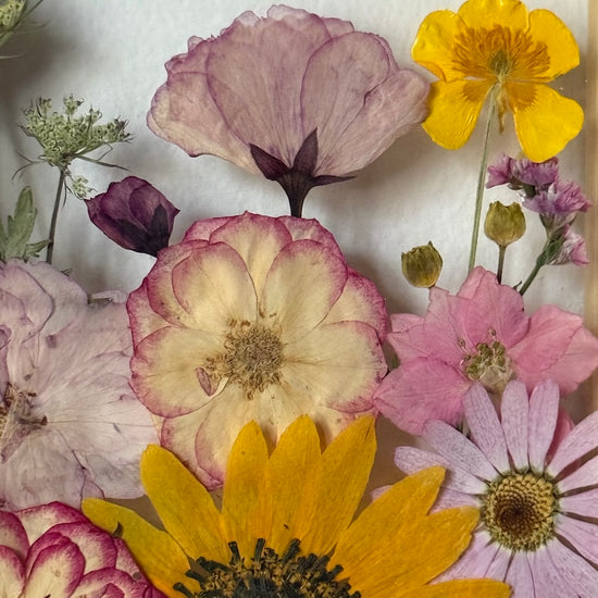 Blumige Vergänglichkeit