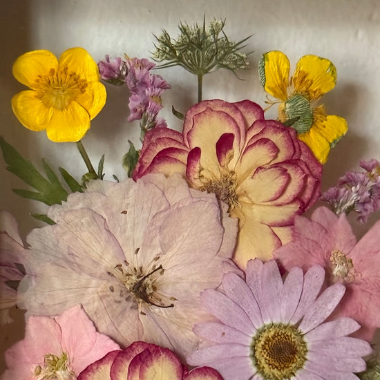 Blumige Vergänglichkeit