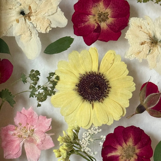 Blumige Vergänglichkeit