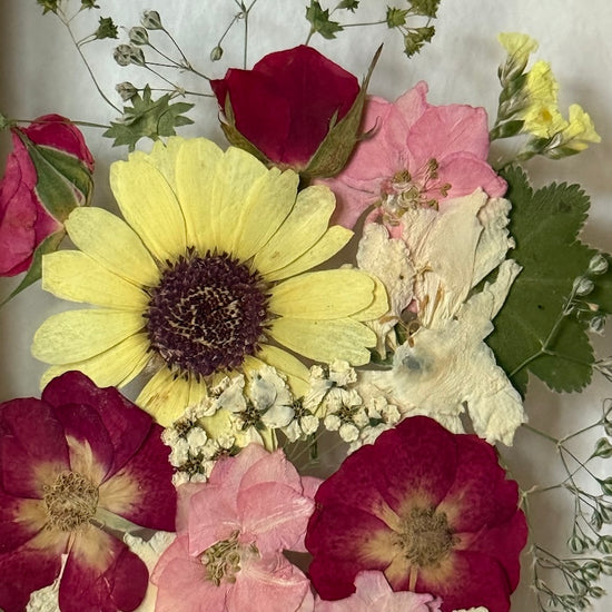 Blumige Vergänglichkeit