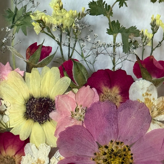 Blumige Vergänglichkeit