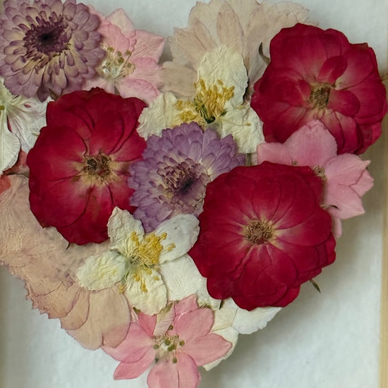 Blühen unter dem Schnee