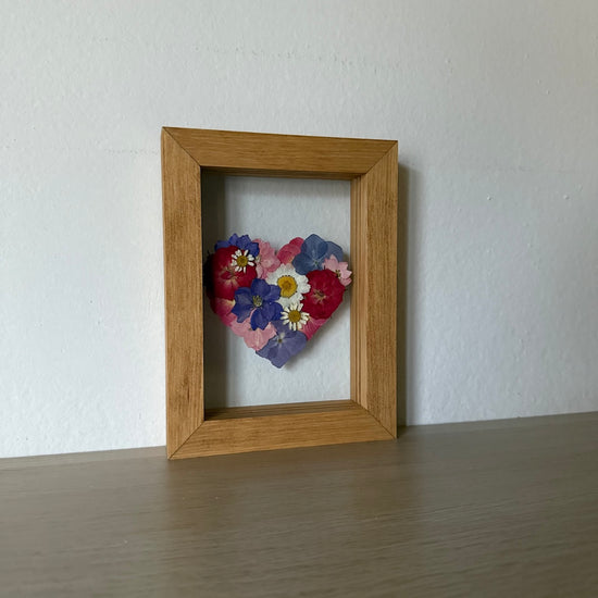 Blühen unter dem Schnee