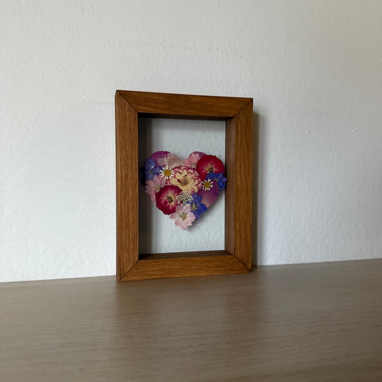 Blühen unter dem Schnee