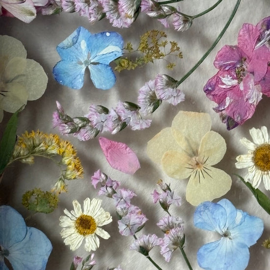 Drama geheimnisvoller Blumen