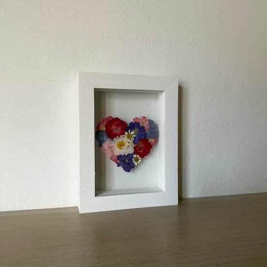 Blühen unter dem Schnee