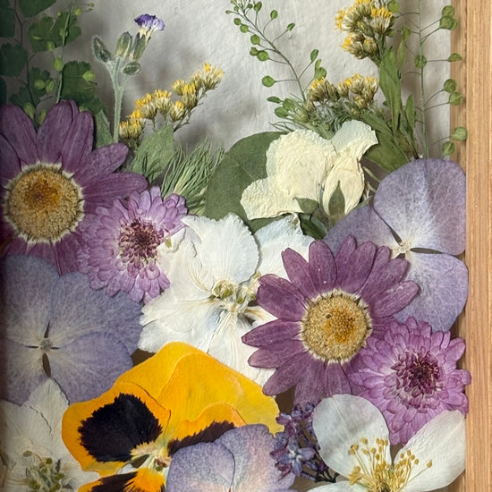 Drama geheimnisvoller Blumen